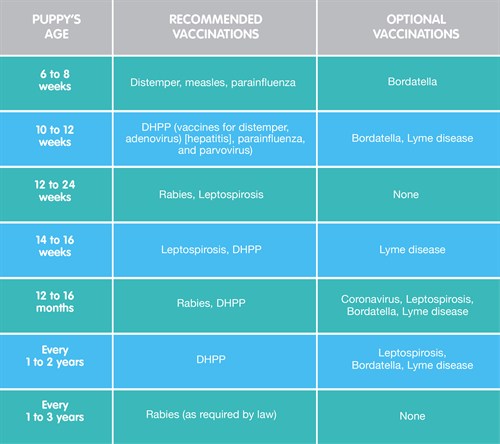 12 week puppy schedule puppy vaccination schedule chart breeds picture 12 week puppy schedule puppy vaccination schedule chart breeds picture